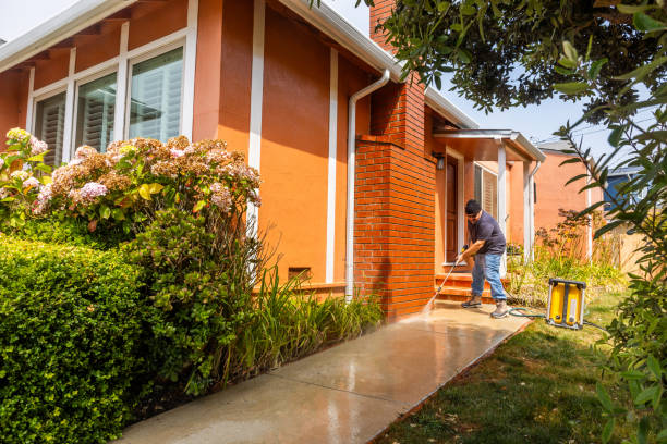 Best Exterior Home Cleaning  in Decorah, IA