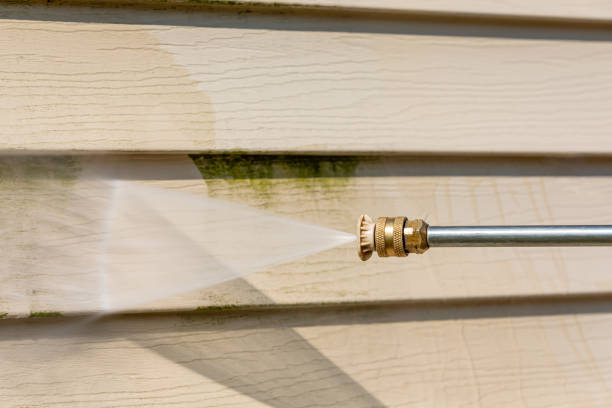 Best Roof Pressure Washing  in Decorah, IA